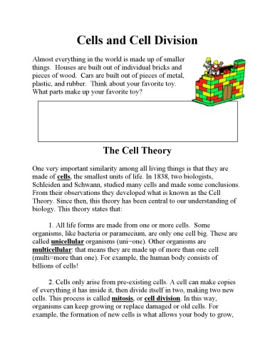 Cells and Cell Division (Biology)  R20071012A