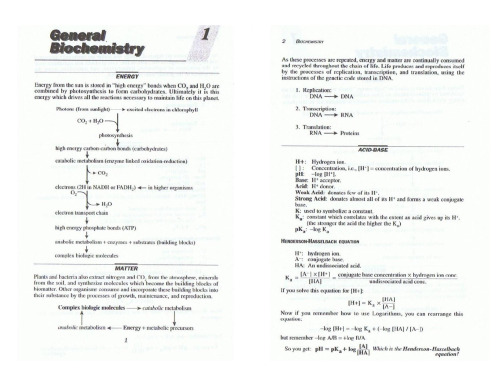 Digging Up The Bones: Biochemistry