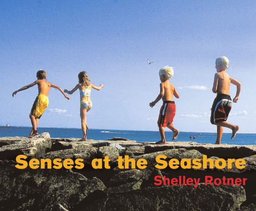 Senses At The Seashore
