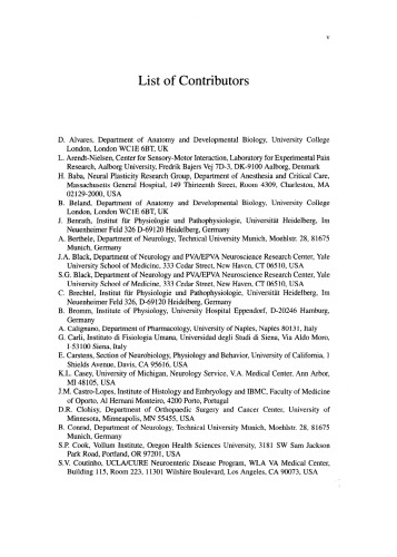 Nervous System Plasticity and Chronic Pain