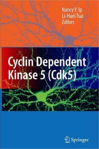 Cyclin Dependent Kinase 5 (Cdk5)