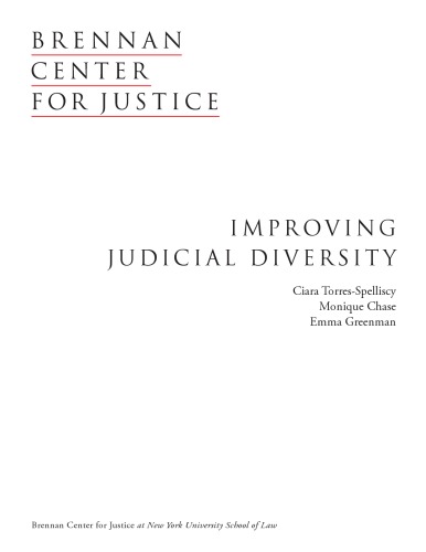 Improving Judical Diversity (2008)