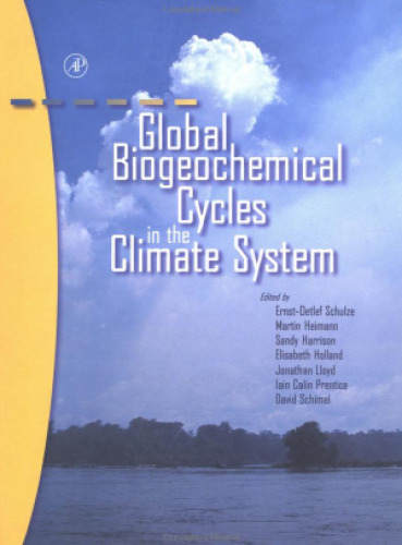 Global Biogeochemical Cycles in the Climate System
