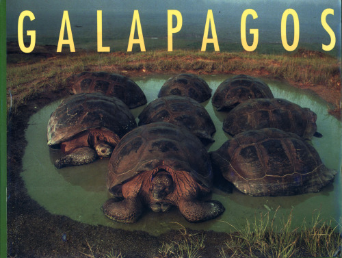 Galapagos