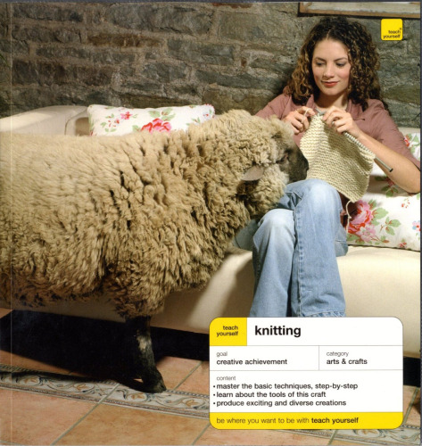 Teach Yourself Knitting (Teach Yourself Arts & Crafts)