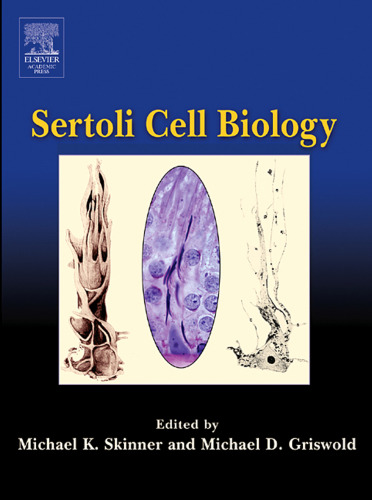 Sertoli Cell Biology