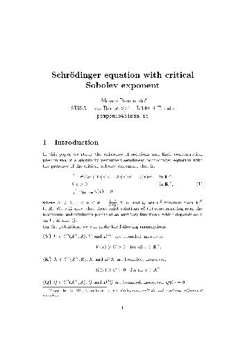Schrödinger equation with critical Sobolev exponent