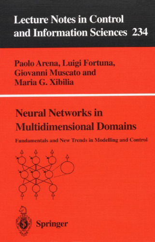 Neural Networks in Multidimensional Domains: Fundamentals and New Trends in Modelling and Control