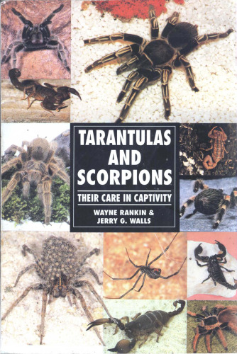 Tarantulas and Scorpions (Their Care in Captivity)