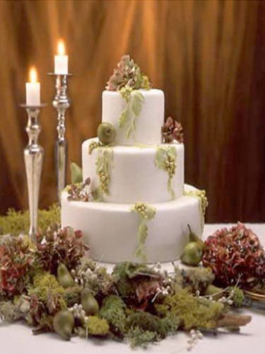 Cake Decorating Made Easy