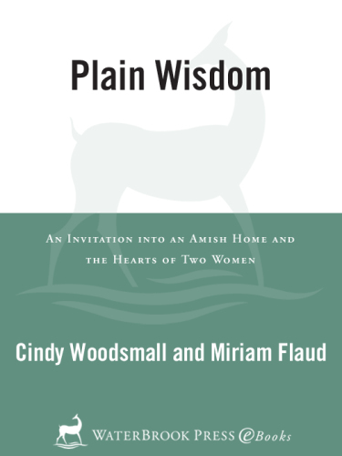 Plain Wisdom: An Invitation Into an Amish Home and the Hearts of Two Women