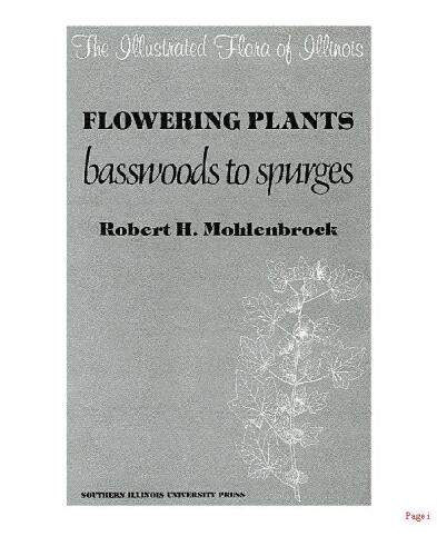 Flowering plants: basswoods to spurges