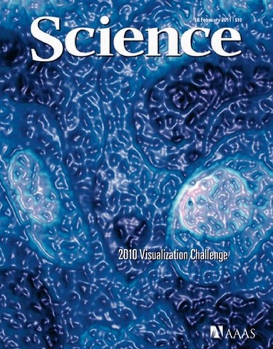 Science Magazine 18 February 2011