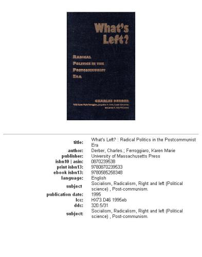 What's left?: radical politics in the postcommunist era