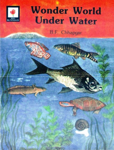 Wonder World Under Water