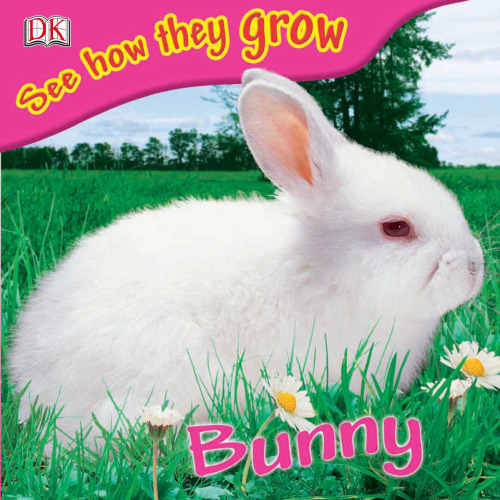 Bunny (See How They Grow)