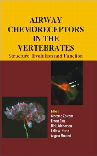 Airway Chemoreceptors in Vertebrates