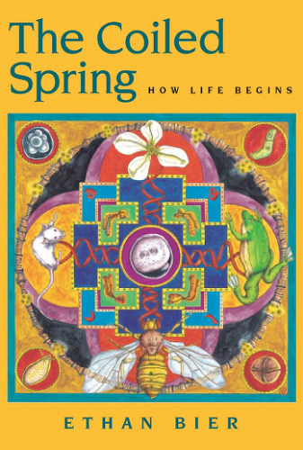 The Coiled Spring: How Life Begins