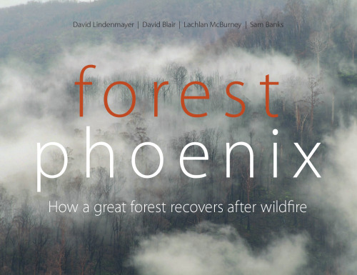 Forest Phoenix: How a Great Forest Recovers After Wildfire