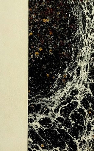 Конец Белых. От Днепра до Босфора (Вырождение, агония и ликвидация).