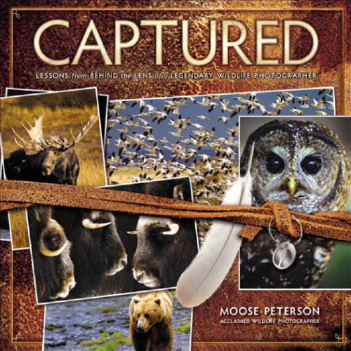 Captured Lessons from Behind the Lens of a Legendary Wildlife Photographer 