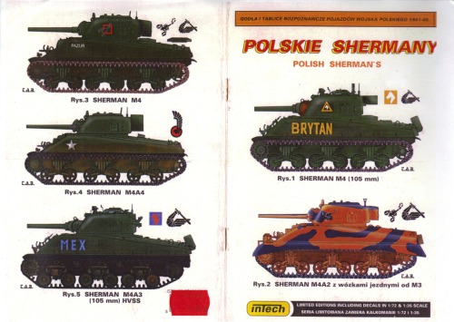 Polskie Shermany / Polish Shermans