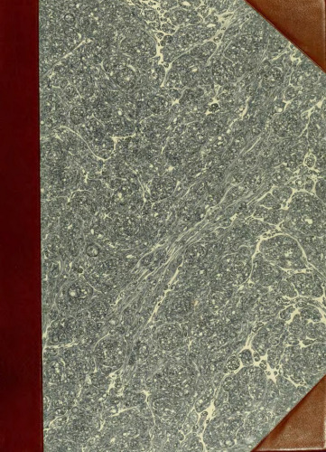 Gothic Architecture, improved by rules and proportions