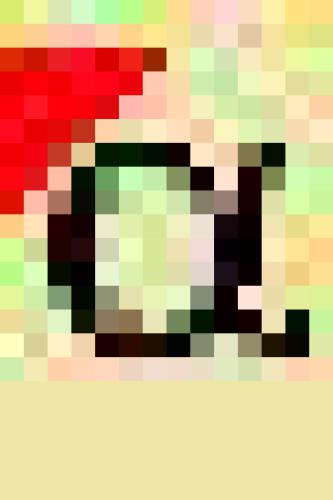 Duden - Das Fremdwörterbuch