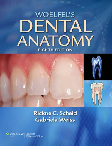 Woelfel's Dental Anatomy: Its Relevance to Dentistry Edition 8
