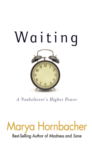 Waiting - A Nonbeliever's Higher Power