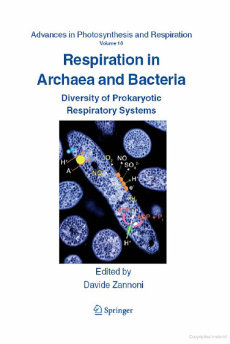 Respiration in Archaea and Bacteria: Diversity of Prokaryotic Respiratory Systems