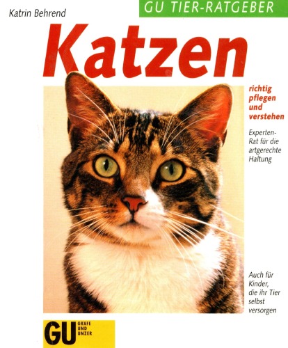 Die Wohnungskatze richtig pflegen und verstehen