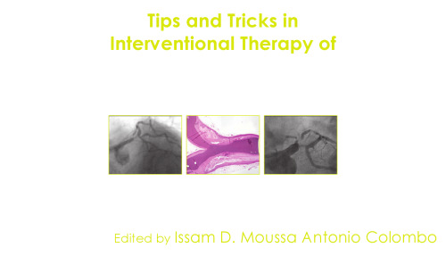 Tips and Tricks in Interventional Therapy of Coronary Bifurcation Lesions  