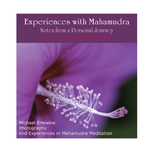 Experiences with Mahamudra: Notes from a Personal Journey  