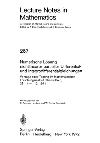 Numerische Losung nichtlinearer partieller Differential- und Integrodifferentialgleichungen