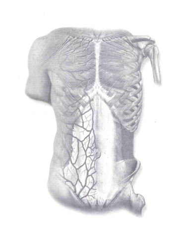 Sobotta Atlas of Human Anatomy, Volume 2: Thorax, Abdomen, Pelvis, Lower Limb  