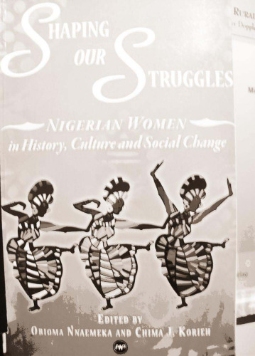 Shaping Our Struggles: Nigerian Women in History, Culture and Social Change