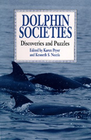 Dolphin societies: discoveries and puzzles