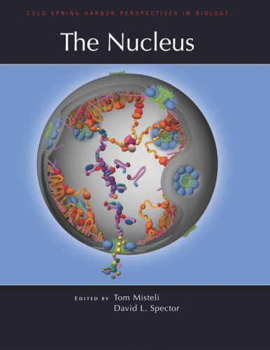 The Nucleus