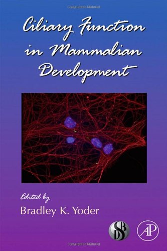 Ciliary Function in Mammalian Development