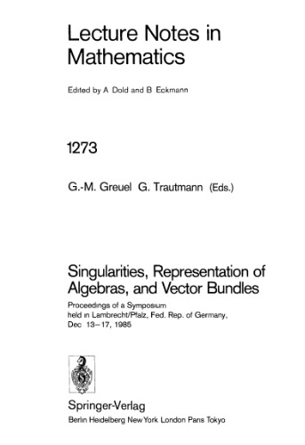 Singularities, Representation of Algebras and Vector Bundles