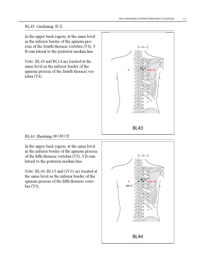 WHO Standard Acupuncture Point Locations in the Western Pacific Region part 5  