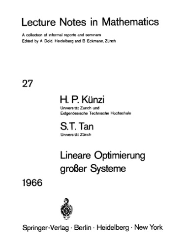 Lineare Optimierung grosser Systeme