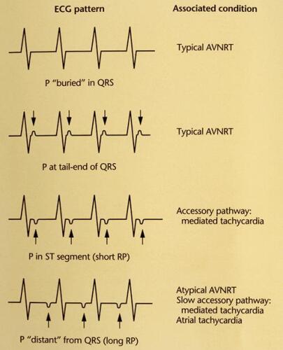Atlas of Internal Medicine  