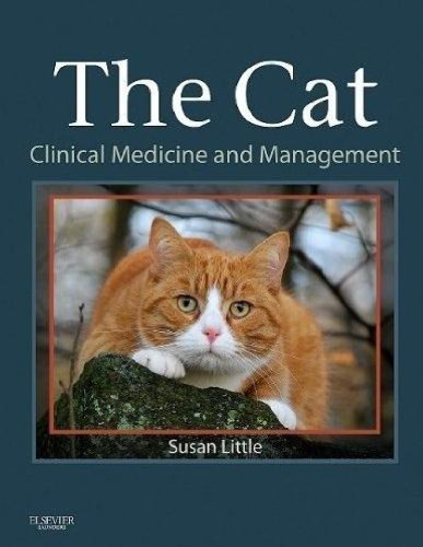 The Cat: Clinical Medicine and Management
