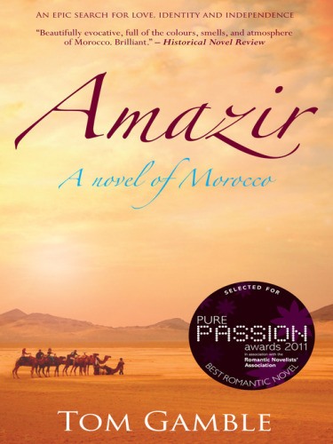 Amazir: A Novel of Morocco  