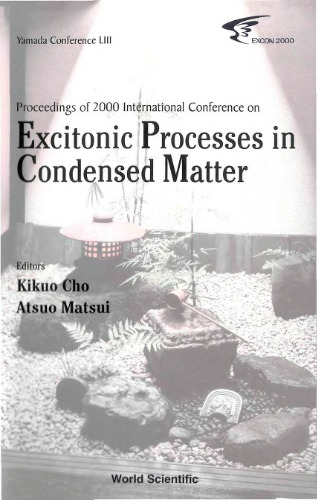 Excitonic Processes in Condensed Matter