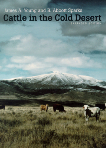 Cattle in the cold desert
