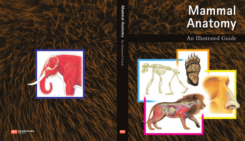 Mammal Anatomy: An Illustrated Guide  
