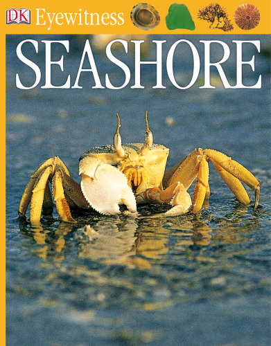 Seashore (DK Eyewitness Books)